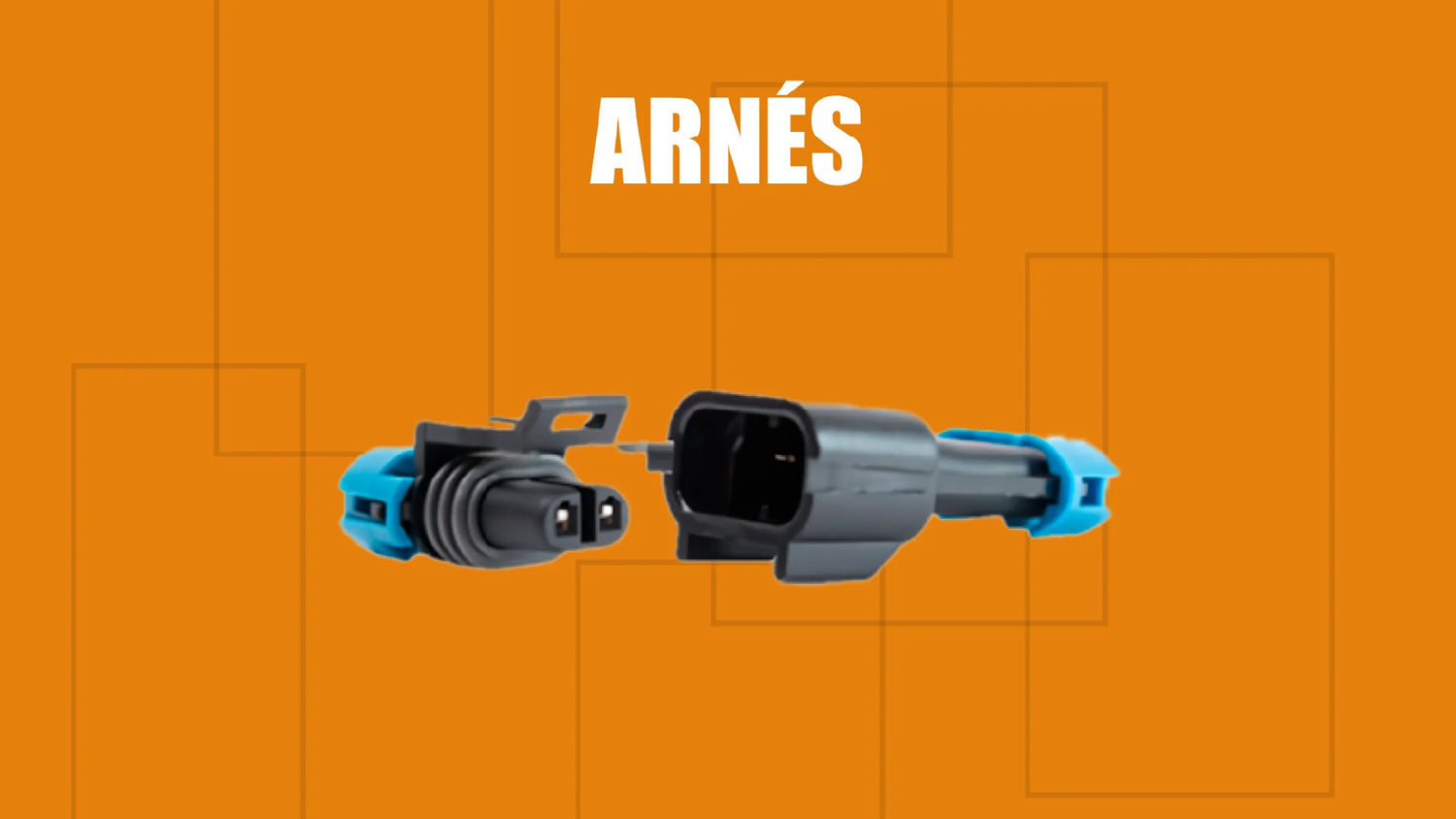 ARNÉS